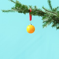 Closeup Orange Fruit Ornament Christmas decoration hanging on Christmas tree on white background. 3D Rendering Christmas concept idea.
- 685601278