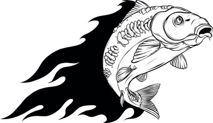 vector illustration of outline Carp fish design