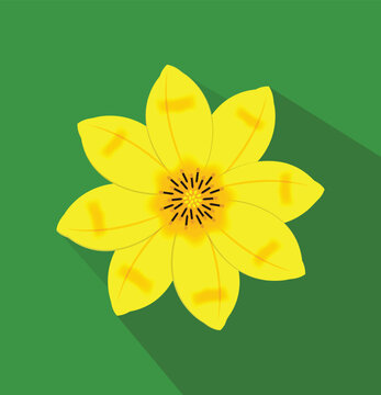 Adey Abeba (yellow Ethiopian new year seasonal flower) on green background. High Quality Illustration