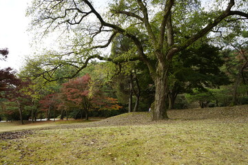 아산 현충사 풍경입니다