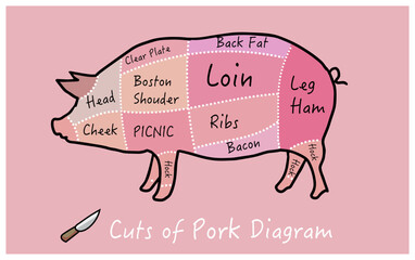 butcher cut main cuts of pork