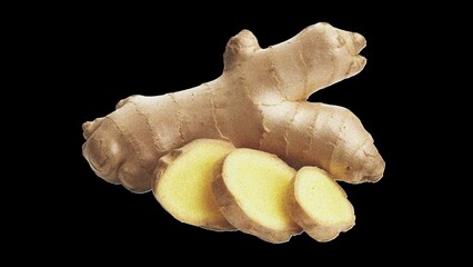 ginger element for collage animation, Montage, paper cut motion Graphics, digital collage, cut out animation