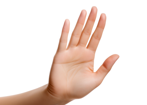 Mano levantada en fondo transparente.
