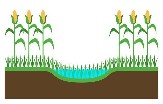 Grassed waterway - grass strip to control erosion