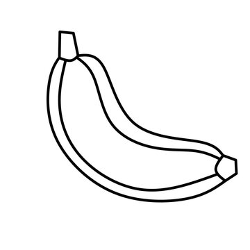 Hand drawn banana vector illustration. Banana linear image on white background. Sketch for coloring page. Vector illustration