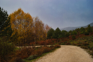 Fototapeta premium road mountain landscape scenic cloud nature outdoor tree autumn
