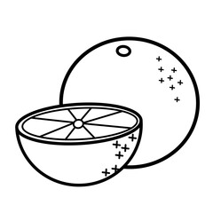 Linear image orange, on white background. Sketch for coloring order page. Vector illustration