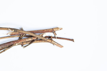 Dry tree twigs branches isolated on white background. close-up