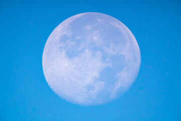 朝の青空に溶けてゆく月20231031-2