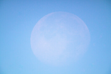 朝の青空に溶けてゆく月20231031-4