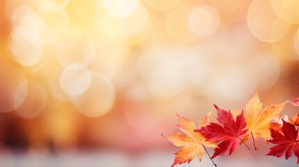 Naklejka na ściany i meble Autumn Elegance End-of-Year Web Banner with Red and Yellow Maple Leaves, Soft Focus Light, and Bokeh Background.