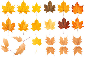 Set and collection of beautiful autumn leaves. Generative AI.