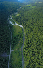 Aerial drone view of a forest gravel road winding along a green glade and spruce forests and a...
