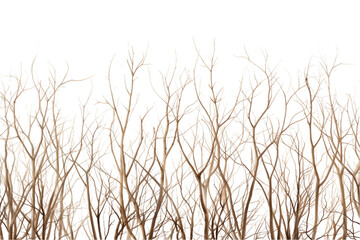thicket isolated on white background. Generative AI.
