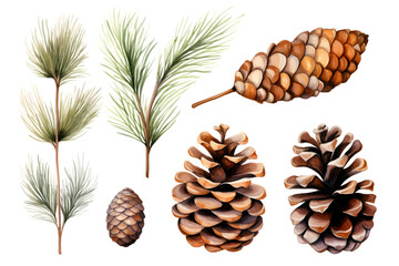 Watercolor pine cone and branches collection. Generative AI. - obrazy, fototapety, plakaty