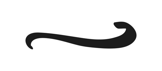 Swoosh and swoops underline typography tail shape. Brush drawn thick curved smear. Hand drawn curly swish, swash, squiggle, twiddle. Vector calligraphy doodle swirl. Vector Underlined icon.