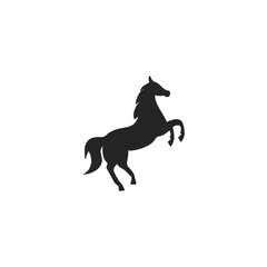 Horse icon. Horse brand logo design  isolated on white background 