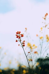 A close up photo of tiny red blossom branched at sunset with gradient background, generated by AI.