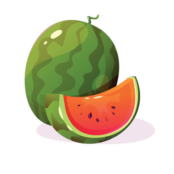 Vector watermelon illustration. Cartoon juicy fruit.