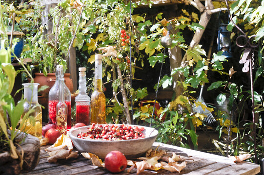 Fruits and various bottled oils on garden table