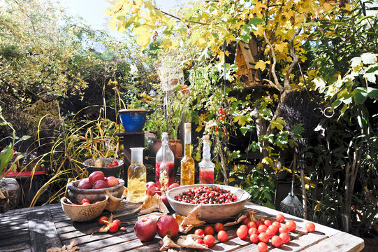 Fruits and various bottled oils on garden table