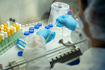 tuberculosis Department samples in the lab