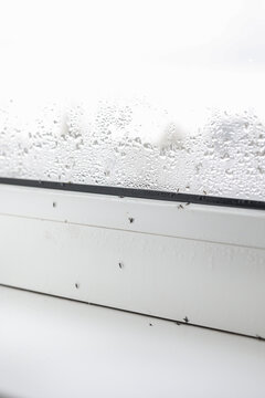 Close up of many dead midges and water droplets condensation on white metal-plastic window and windowsill indoors apartment. Problems with pests and high humidity.