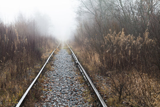 An empty old railway goes through a foggy forest