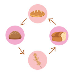 nutritional products in food cycle