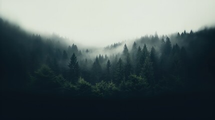 Foggy forest in the mountains. Dark foggy landscape.