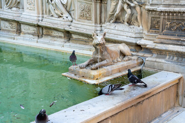 Fountain in Siena, Italy
