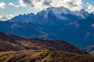 Autumn landscape of coniferous forests and the Marmolada glacier in the background. Dolomite Alps of Italy