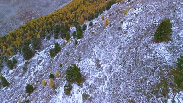 The largest glacier aletschgletscher Ice River in the Swiss Alps