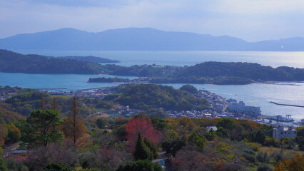 Fototapeta premium 岡山牛窓オリーブ園からの前島方向1