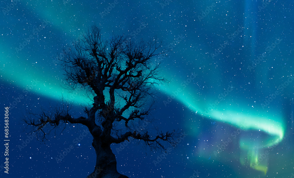 Poster beautiful landscape with lone tree, aurora borealis in the background