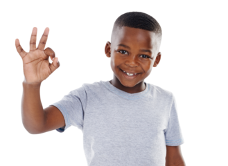 Portrait, feedback and boy with perfect sign, kid and agreement isolated on transparent background. Face, person and model with happiness, hand gesture and emoji with review, png and symbol with like