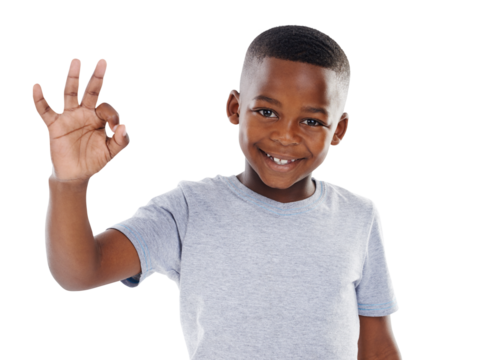 Portrait, feedback and boy with perfect sign, kid and agreement isolated on transparent background. Face, person and model with happiness, hand gesture and emoji with review, png and symbol with like