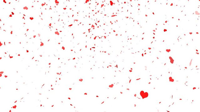 red love heart animation rain fall for valentine day with transparent background.  Format quick time alpha rgb, video codec animation.