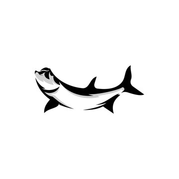 Black Tarpon Fish White Background Logo Design
