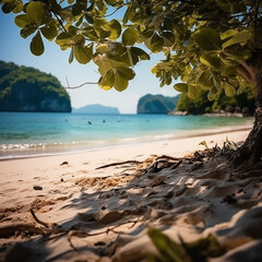 Tree On The Thai Beach Art Print