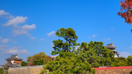 岡山城天守閣と月見櫓1