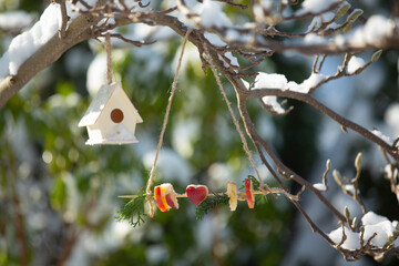 Bird food. Feeding birds in winter.