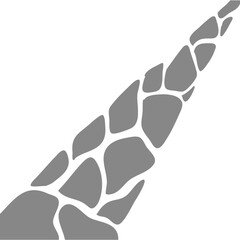 Garden Path of stone