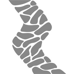 Garden Path of stone