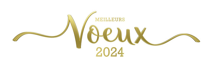 3D render of MEILLEURS VOEUX 2024 (HAPPY NEW YEAR 2024) metallic gold brush calligraphy on transparent background
