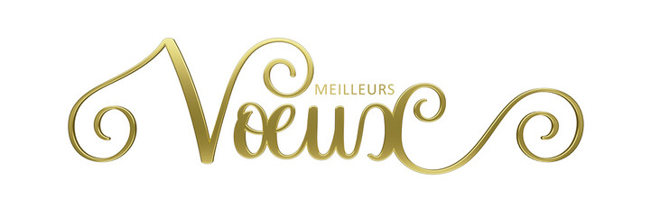 3D render of MEILLEURS VOEUX (HAPPY NEW YEAR in French) metallic gold brush calligraphy on transparent background