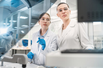 Two female scientists work in a modern equipped computer laboratory analyzing blood samples and...