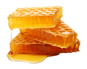 Honeycomb Isolated on Transparent Background
