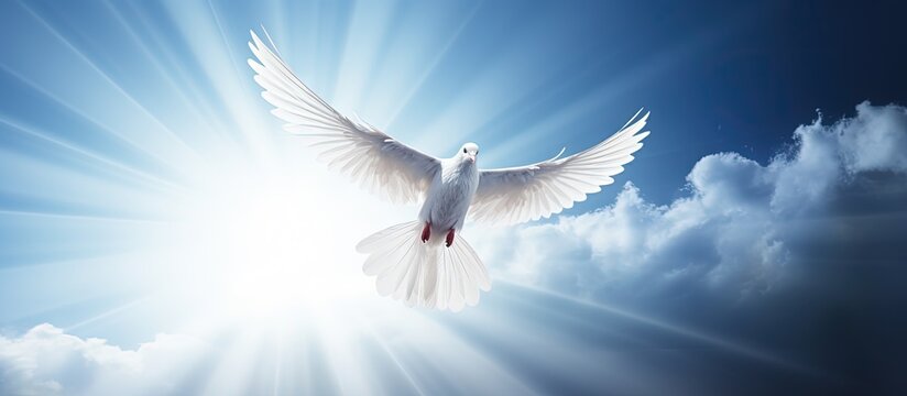 Christian symbol of bright light shining from heaven is the holy spirit dove soaring in the blue sky Copy space image Place for adding text or design