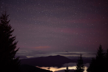 Night details with the sky full of stars observed from an wild place on Earth. The universe...